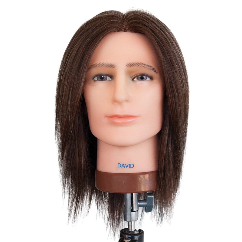 Dateline Professional Mannequin Medium Indian Hair No Beard Brown - David Retail Dateline