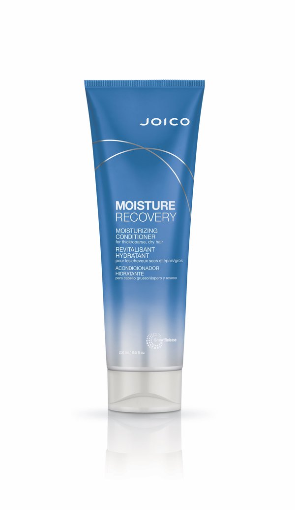 Joico Moisture Recovery Conditioner For Dry Hair 250ml Retail Joico
