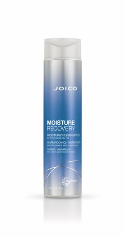 Joico Moisture Recovery Shampoo For Dry Hair 300ml Retail Joico