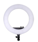Karma LED Ring Light 18 inch Black Ring Lights & Moon Lights Karma